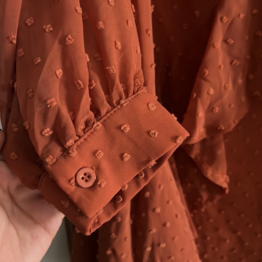 Long Sleeve Burnt Orange Dress - Picture 4 of 7